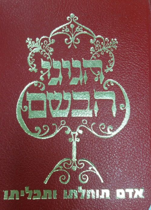 חכם משה כהן שאולי 